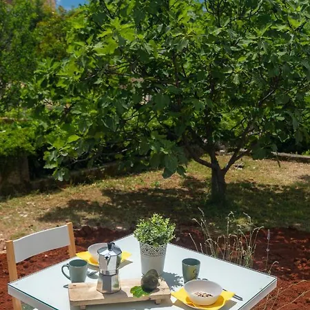 Oleander Lägenhet Malinska Exteriör bild